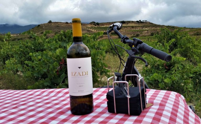 Paseo en bici por el viñedo “El Regalo”, de Bodegas Izadi y copita de vino a pie de viñedo.