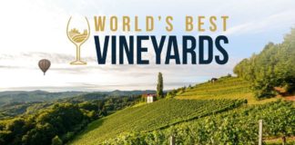 World’s Best Vineyards Rioja Alavesa Basque Country