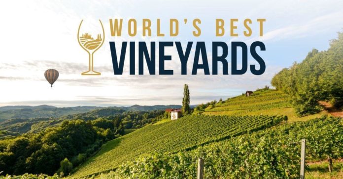 World’s Best Vineyards Rioja Alavesa Basque Country