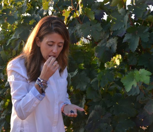 grano a grano valdelacierva navarrete rioja alta
