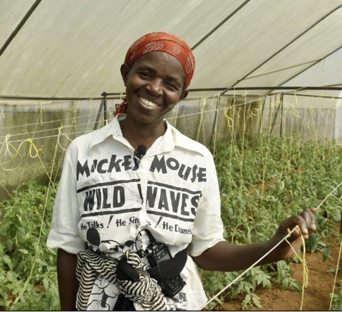 Imagen del proyecto agrícola en Ruanda financiado por La Rioja Alta, S.A. en 2022 y desarrollado por Medicus Mundi.